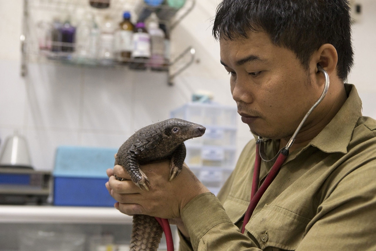 Goldman environmental prize Thai Van Nguyen