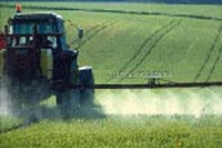 I pesticidi negli alimenti