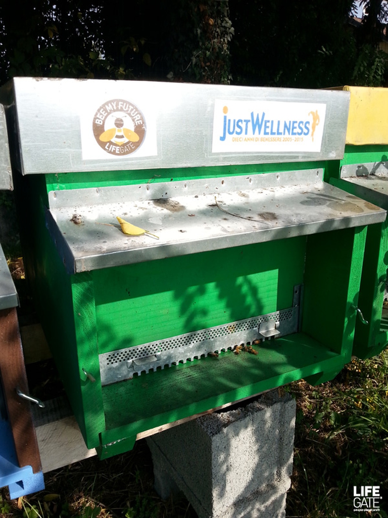 img-arnia_JustWellness_LG