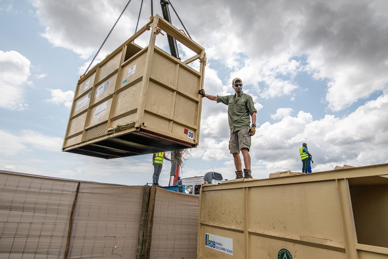 Reintroduzione dei rinoceronti bianchi