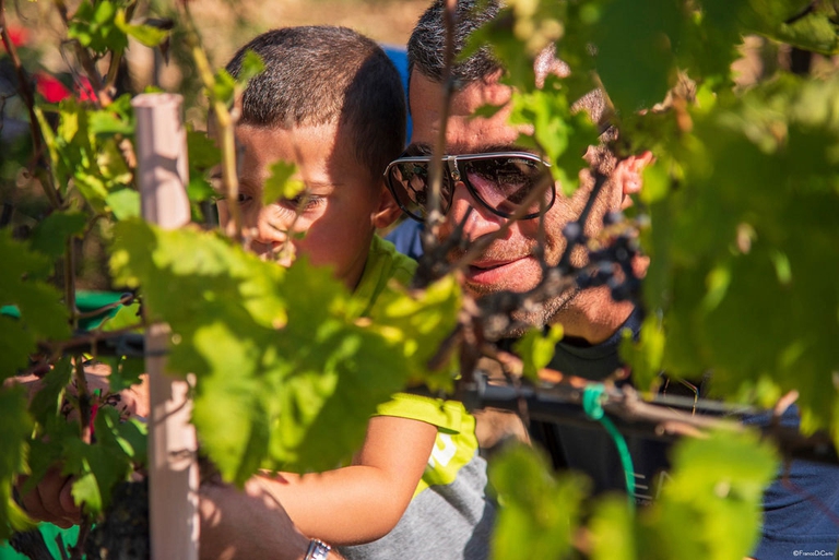 Trekking della vendemmia con Il Bosso nella valle del Tirino