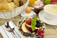 Il Manifesto della prima colazione