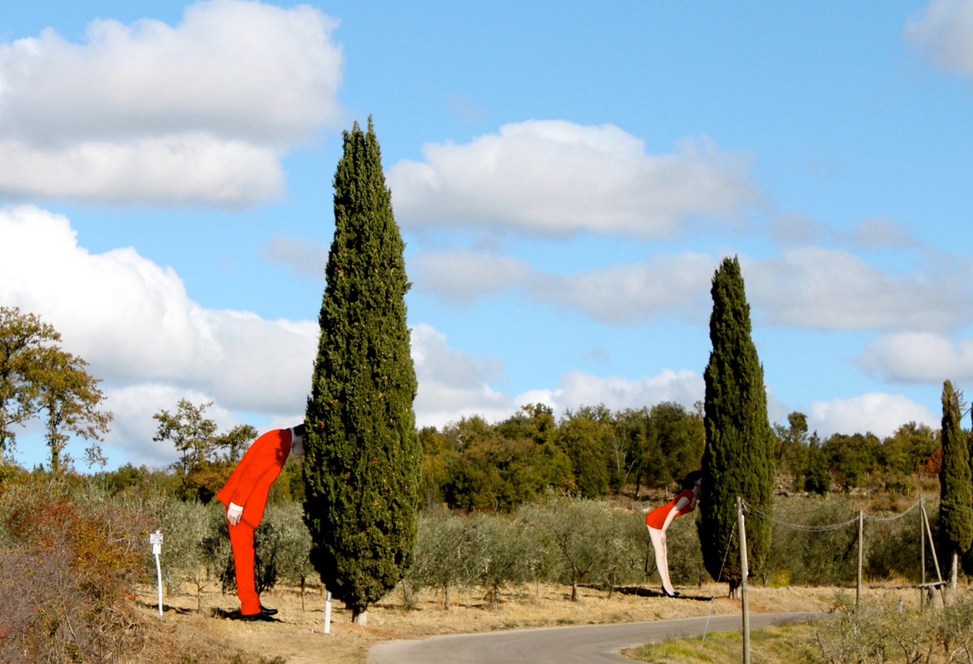 Struzzi metropolitani - Yu Zhaoyang - Sponsor Az. Agr. Casuccio Tarletti