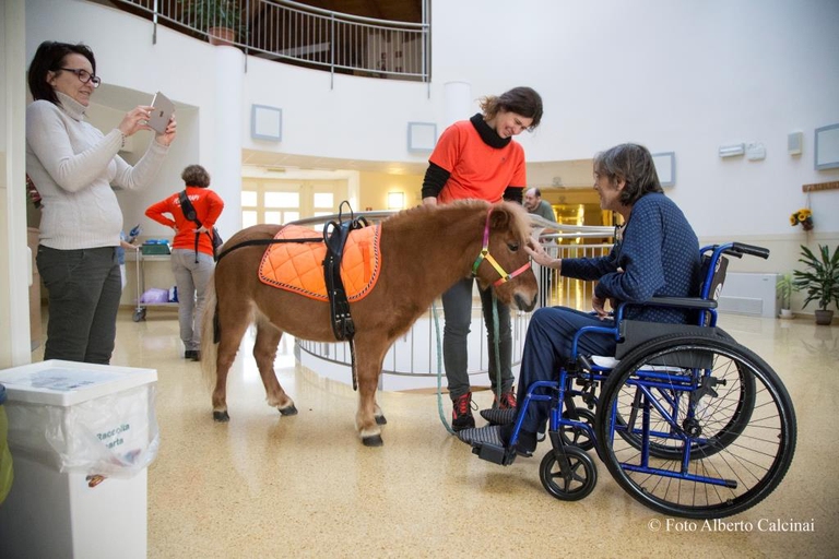 La new entry della pet therapy nell'hospice Casa Vidas è Trilly, un pony © Alberto Calcinai/Vidas