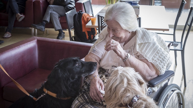 La pet therapy nell'hospice Casa Vidas © Alberto Calcinai/Vidas