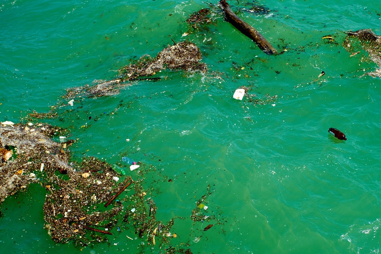 Rifiuti plastici che galleggiano nell'oceano