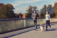 Jogging col cane, le razze più adatte per correre con i consigli degli esperti