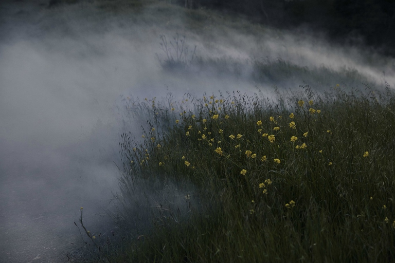 Nebbia sulle colline di San Francisco