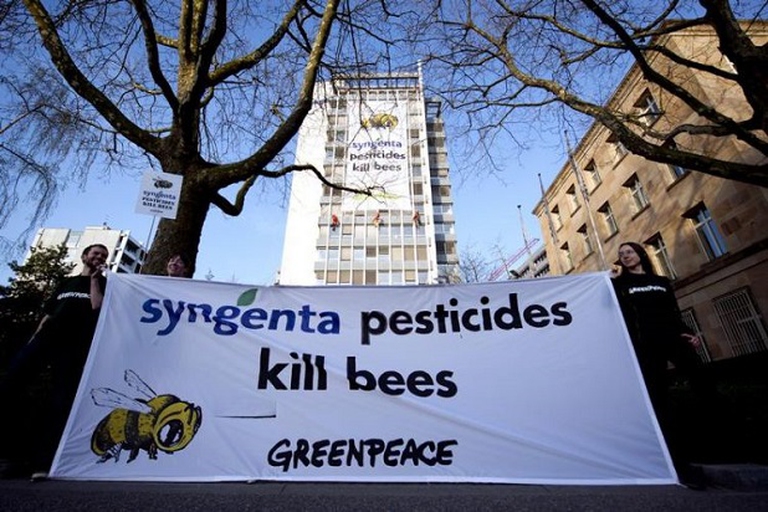 greenpeace a favore delle api