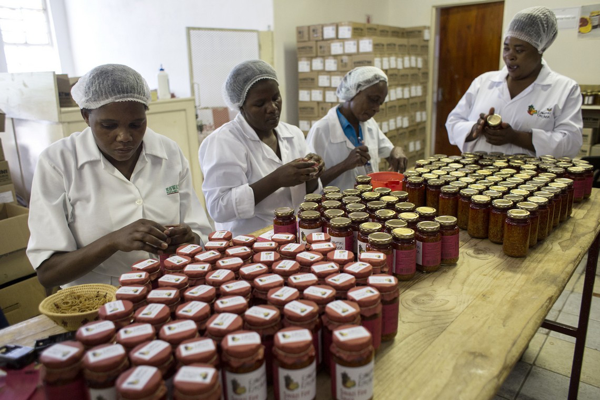 Giornata mondiale dell'alimentazione 2018, Fao