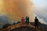 Perché l’Algeria è andata a fuoco quest’estate