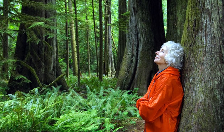 Woman Standing in Forest - Direitos Controlados - Corbis - Google Chrome_2011-05-19_09-29-21