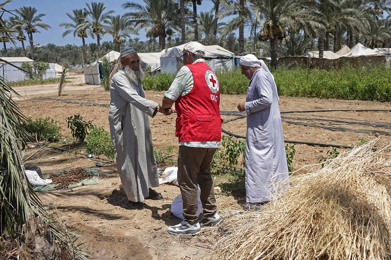 banca dei semi gaza