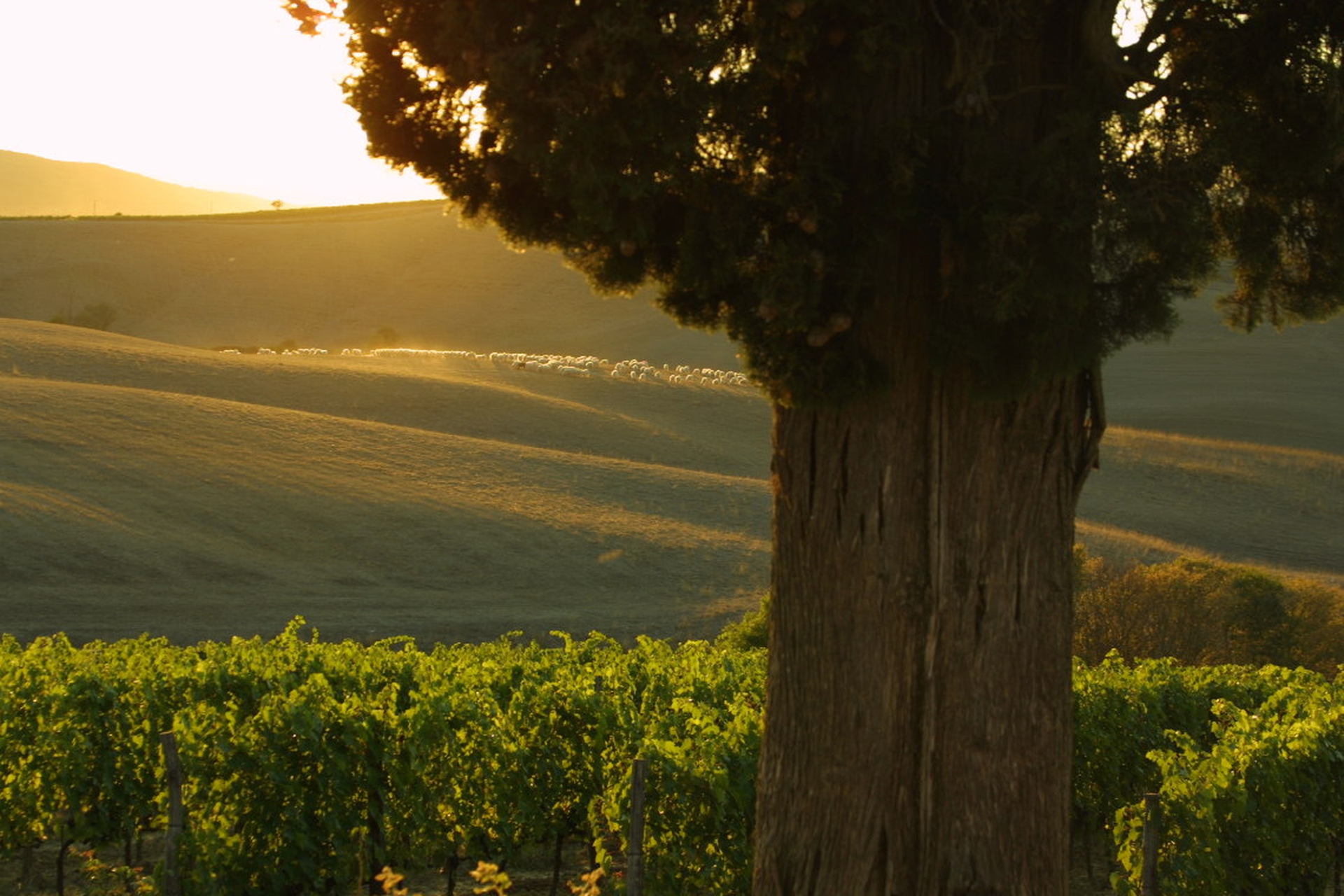 Paradiso di Frassina