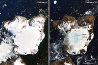 Antartide, un’isola ha perso il 20 per cento della propria massa in soli 10 giorni