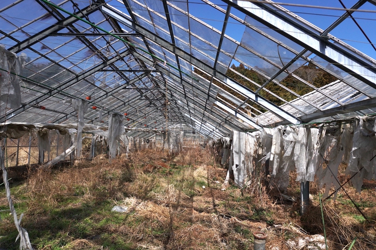 An abandoned greenhouse in Fukushima in 2021