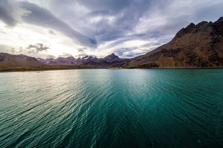 Baia della Georgia del Sud, nell'oceano Atlantico