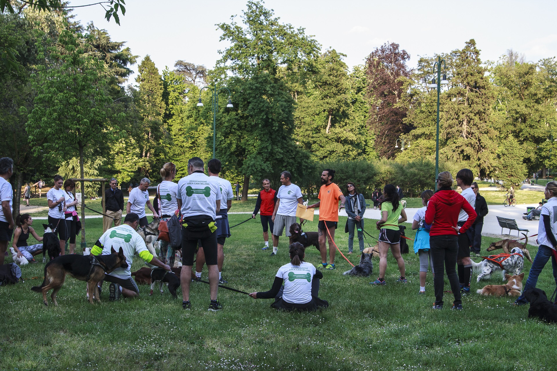 prima-della-partenza