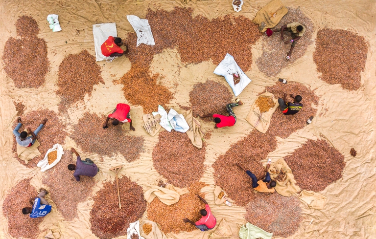 selezione del cacao, foodservice