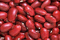 Polpettine di azuki