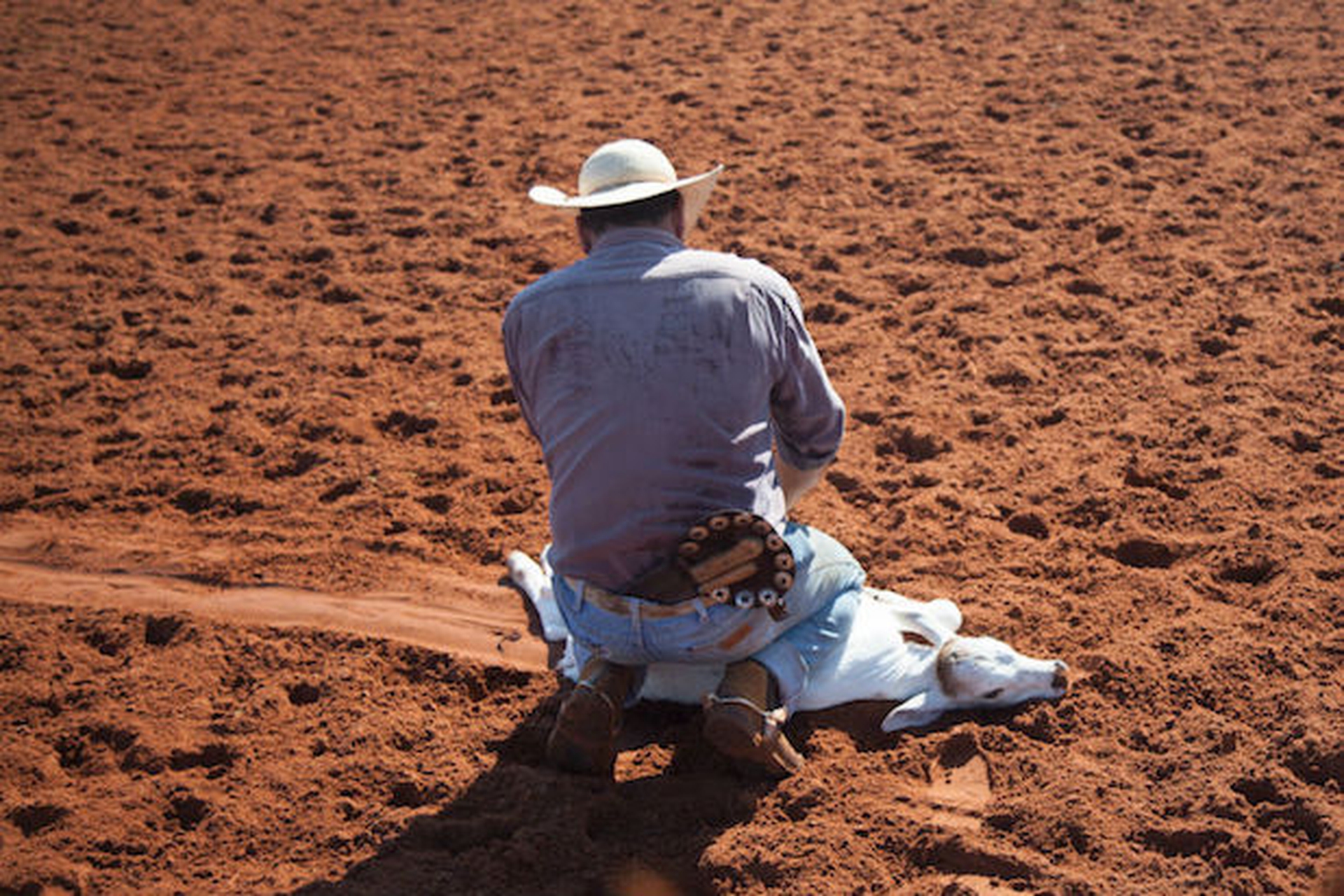 Morrissey_General_Motors4