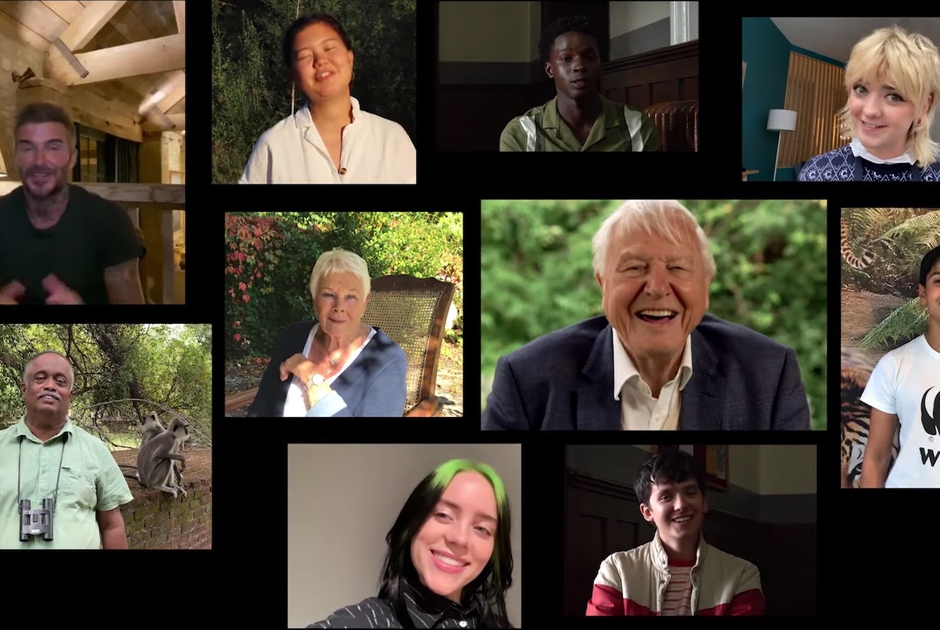 David Attenborough Potrebbe Andare In Pensione E Con Lui I Suoi Viaggi david-attenborough-potrebbe-andare-in-pensione-e-con-lui-i-suoi-viaggi