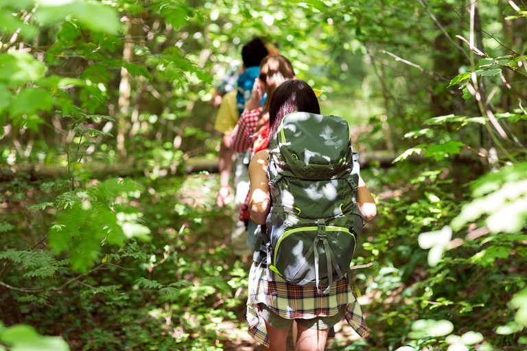 Gruppo di escursionisti durante una passeggiata nel bosco