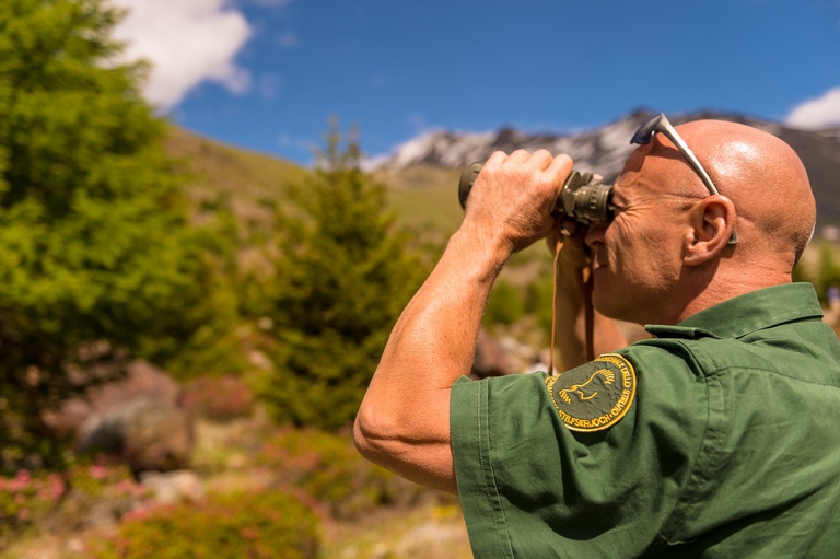 Valfurva, Parco Nazionale dello Stelvio