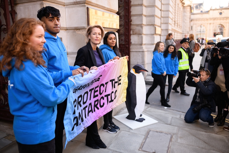 Gillian Anderson tiene in mano la bandiera della campagna Protect the Antartic.