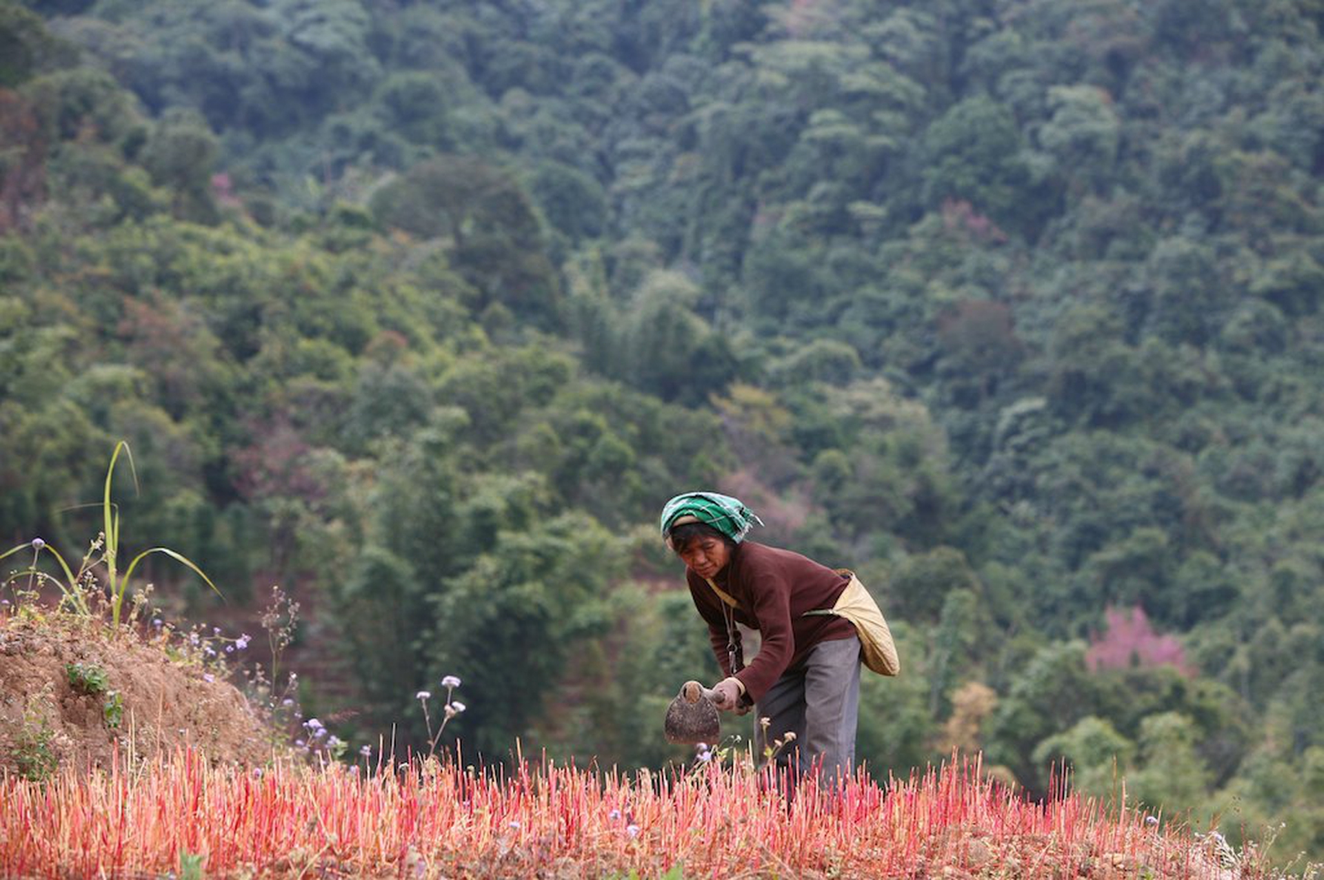 Va female farmer in Yunnan