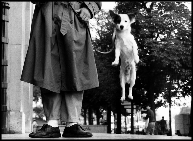 Elliott Erwitt