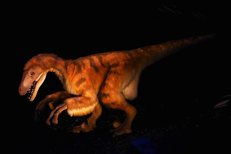 Ricostruzione di dinosauro con le piume