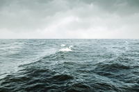 Il magnesio che viene dal mare