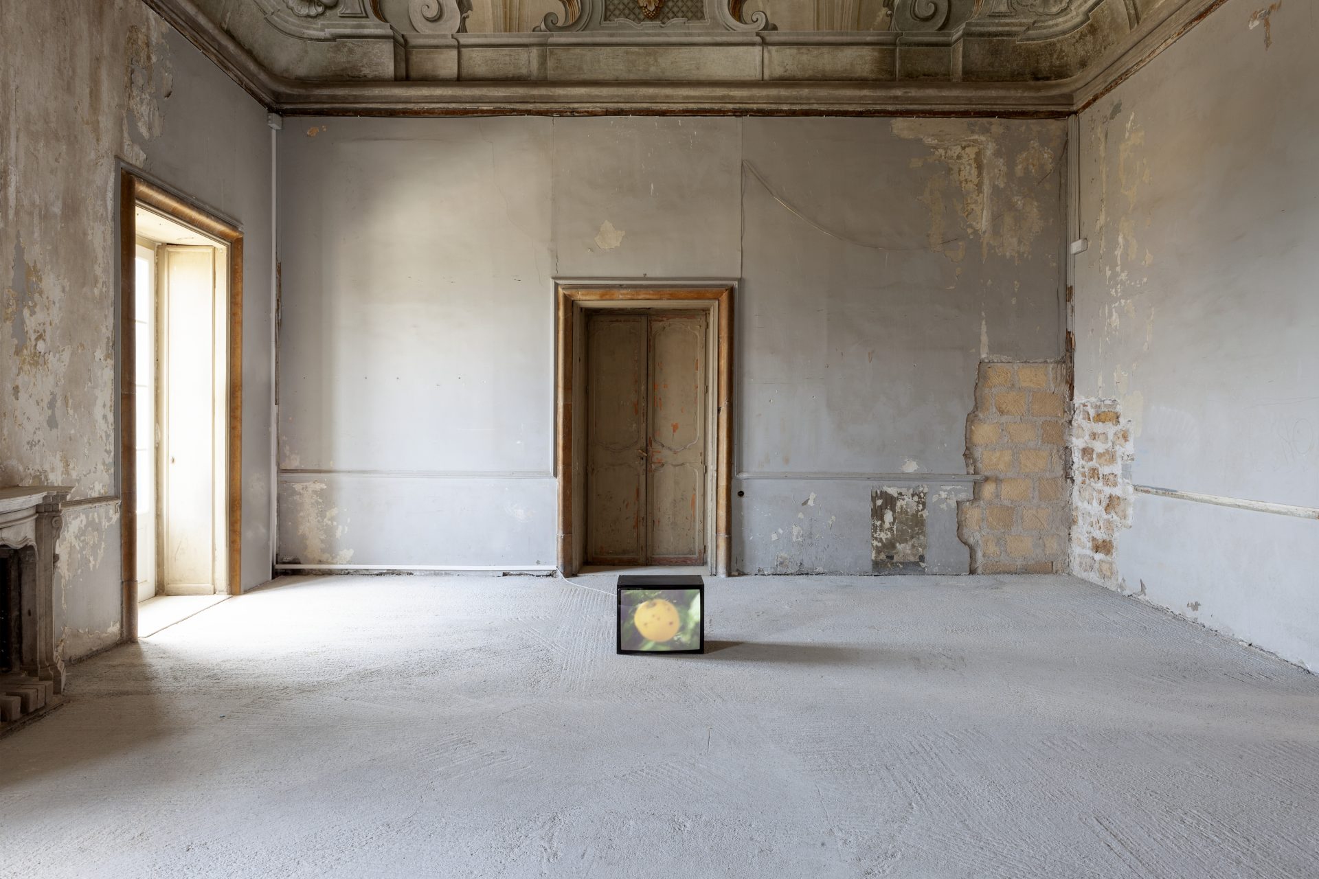 Renato Leotta, Luce 2018