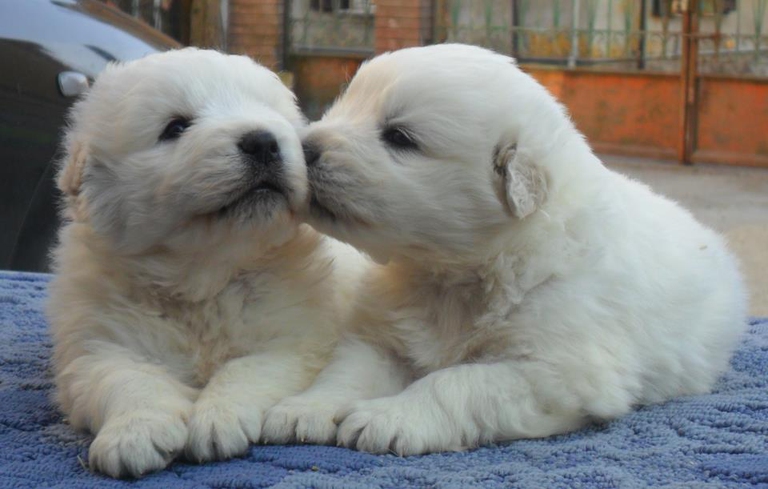 27130_646611085365831_374881658_n