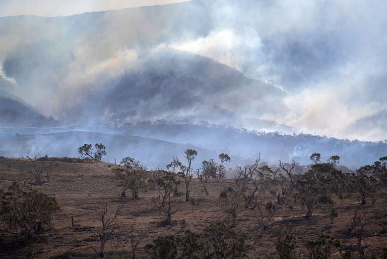 Effetti degli incendi boschivi vicino a Bumbalong, Australia