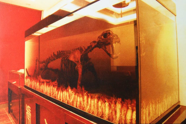 illegal wildlife trade GT SEZ golden triangle special economic zone laos tiger bone wine tiger skeleton