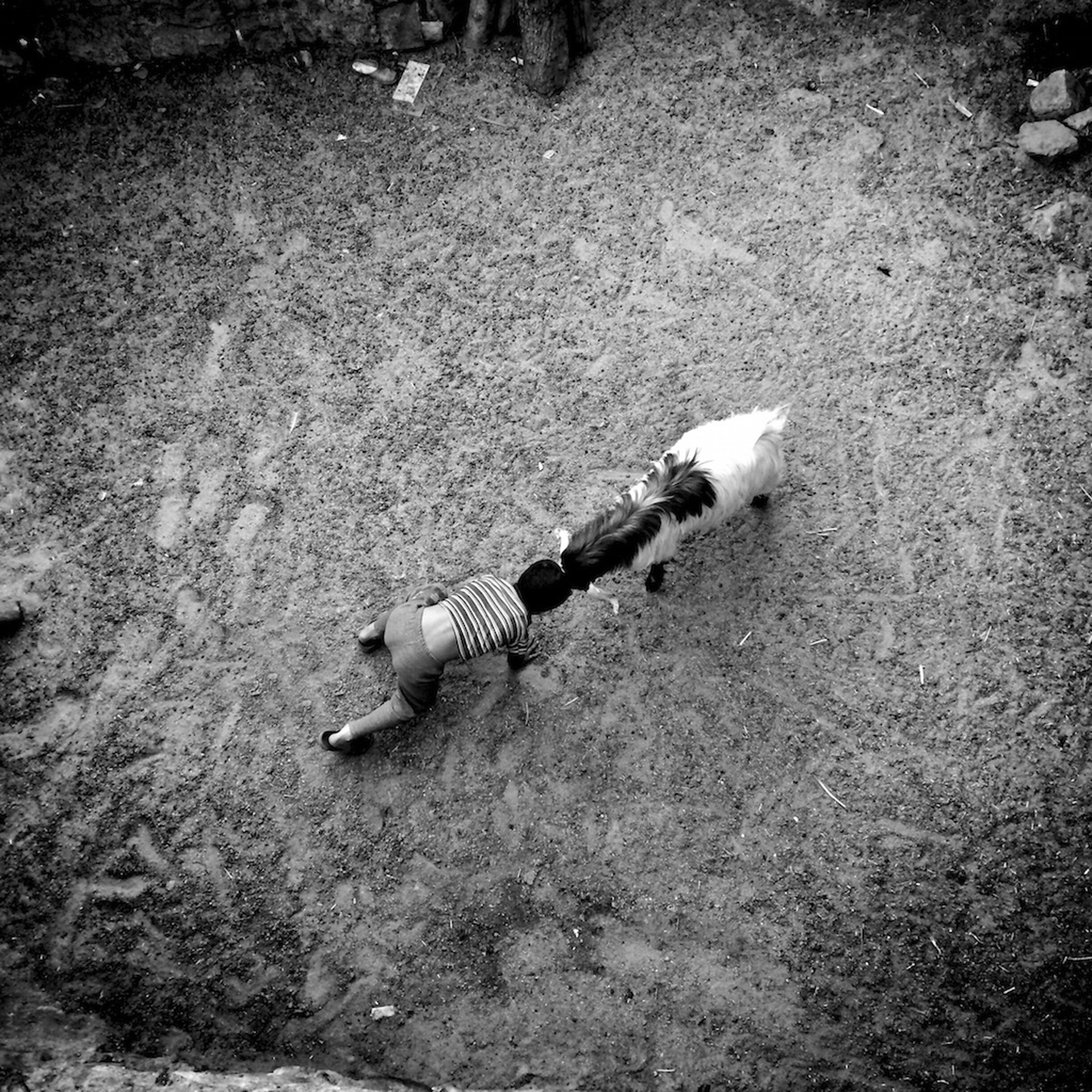 Ako-Salemi-Sony-Awards-Terzo-Mobile-Phone-2015