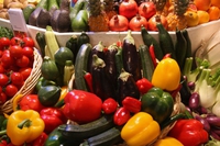 Wwf per Expo. 180 eventi in sei mesi per l’alimentazione sostenibile