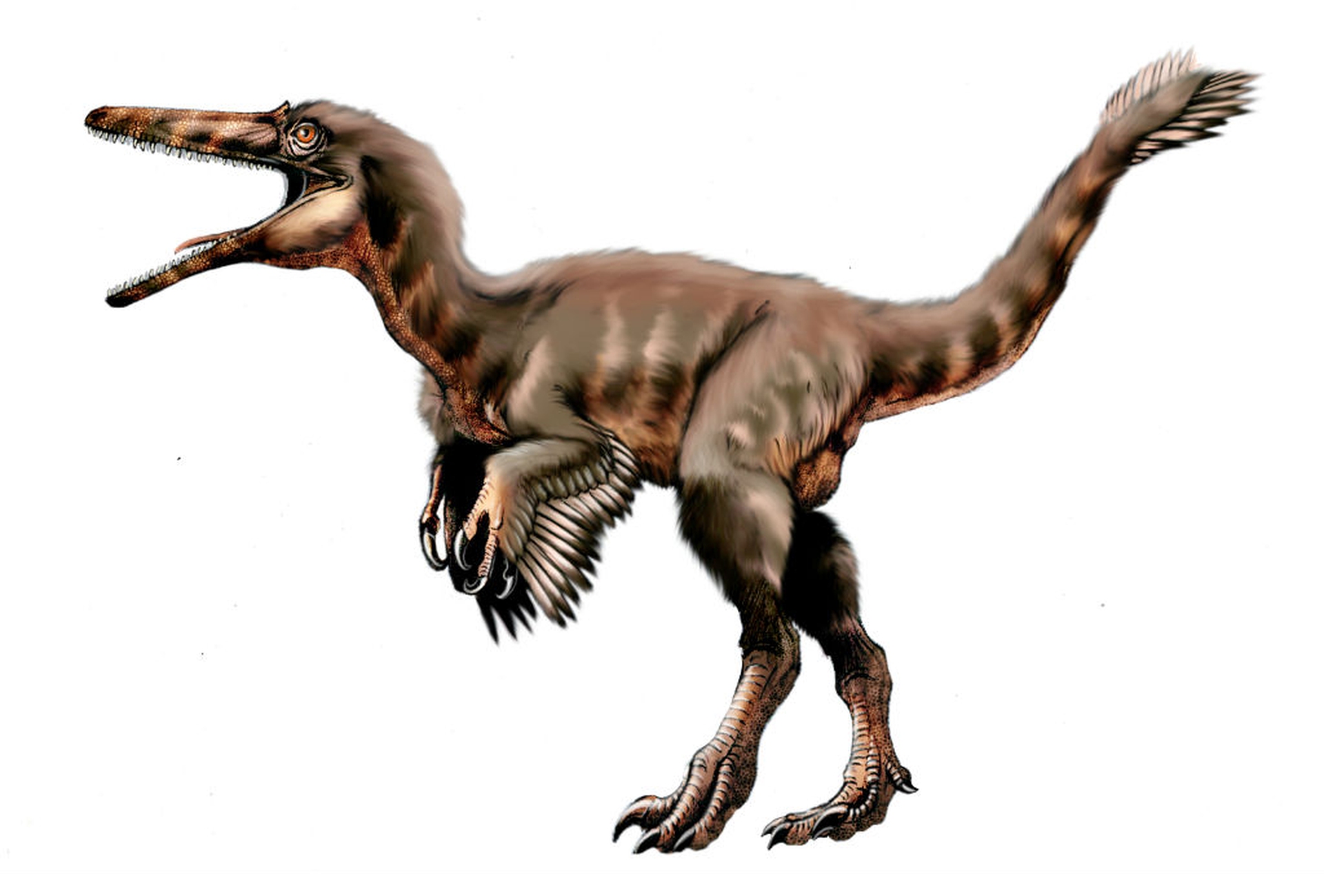 Dinosauri giganti dell'Argentina in mostra a Padova