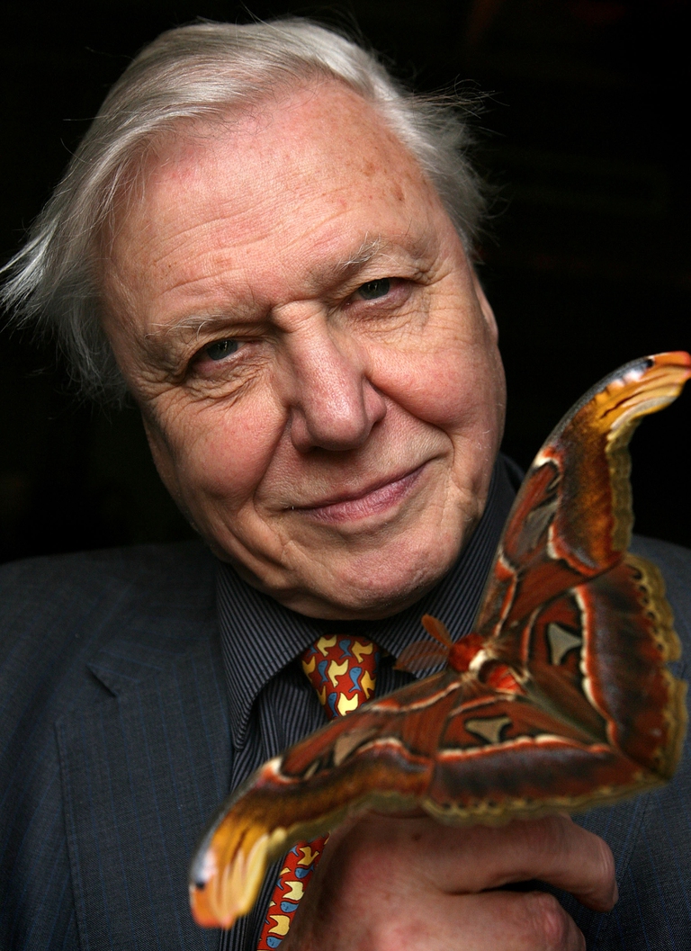 Sir David Attenborough posa con una farfalla cobra