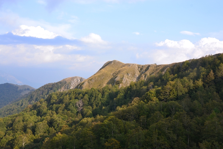 Parco nazionale d'Abruzzo, Lazio e Molise