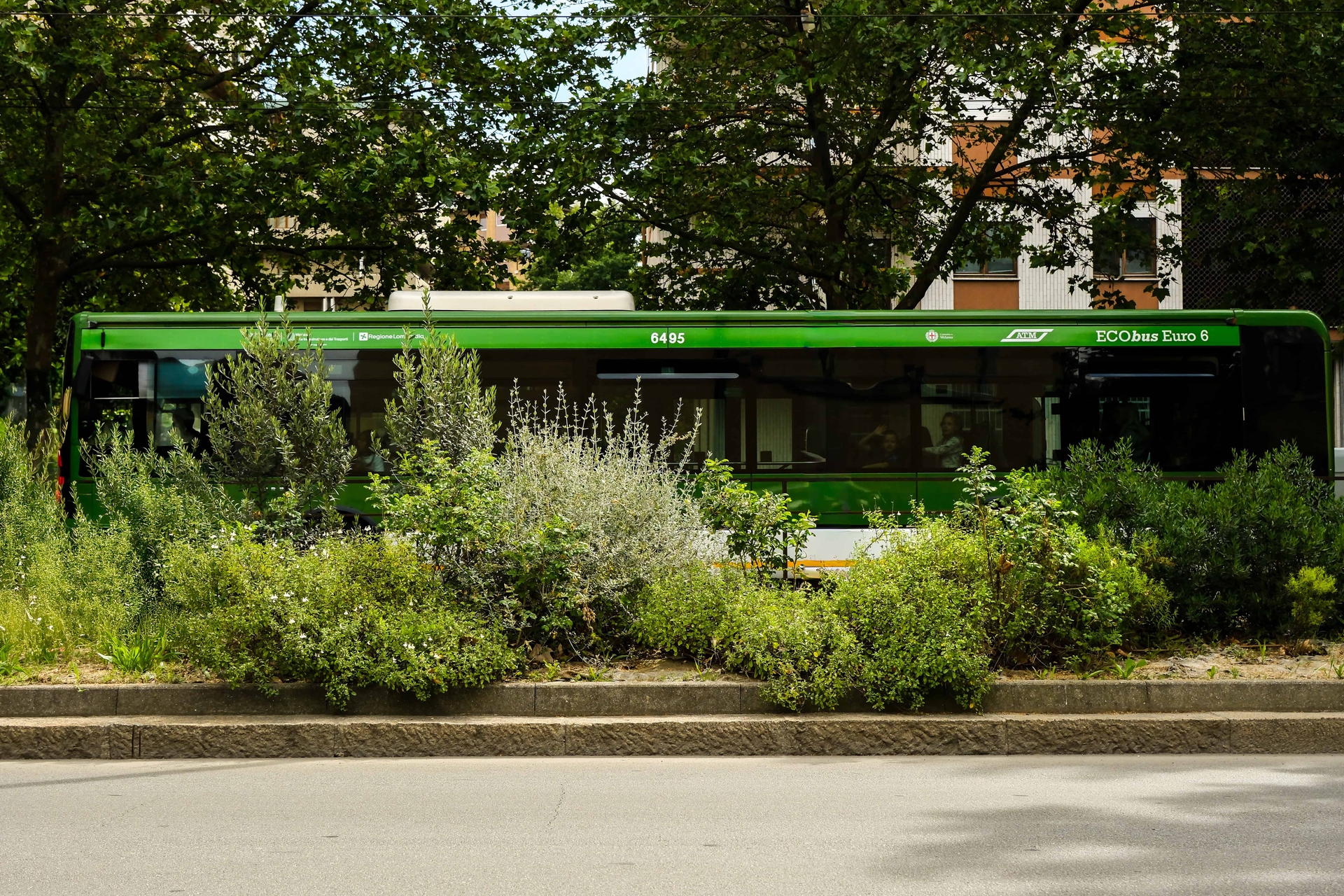 milano green circle-60