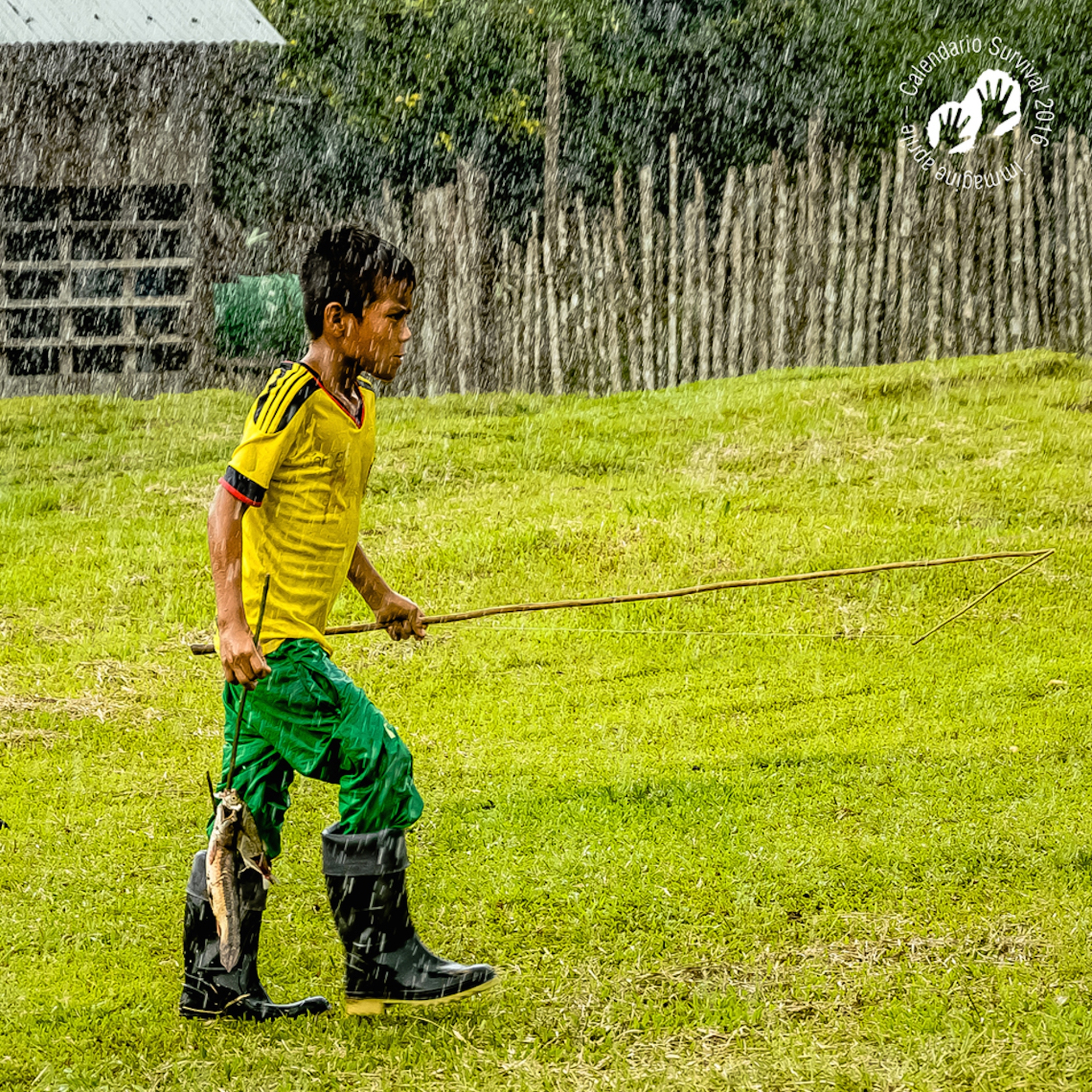 2016 calendar of Survival International, April