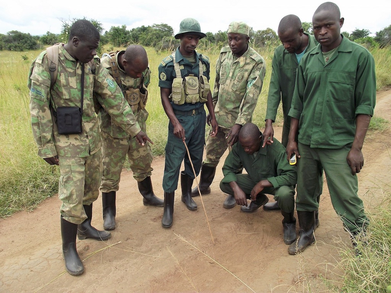The rhino tracking team at work © Courtesy of Akagera Management Company