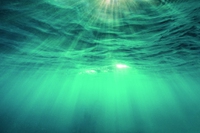Mare Aperto si fa in cinque con il piano di sostenibilità WeSea