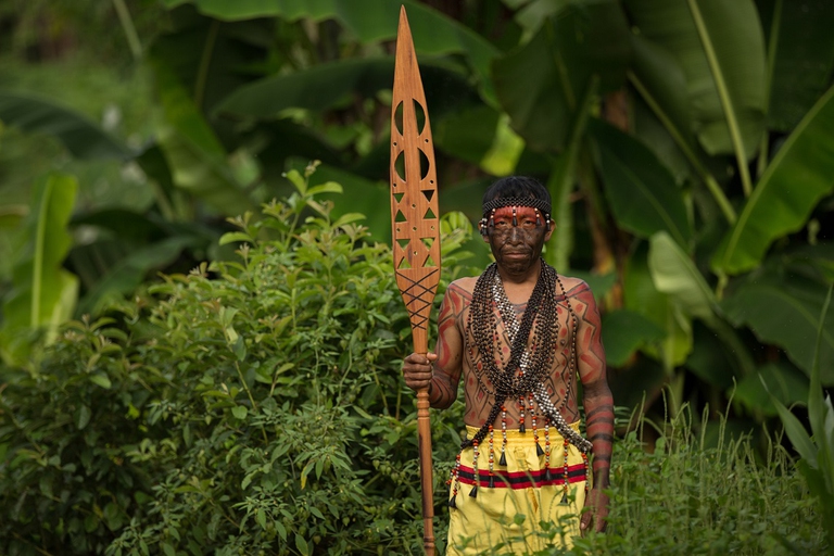coronavirus in the amazon, Javari indigenous leader, brazil