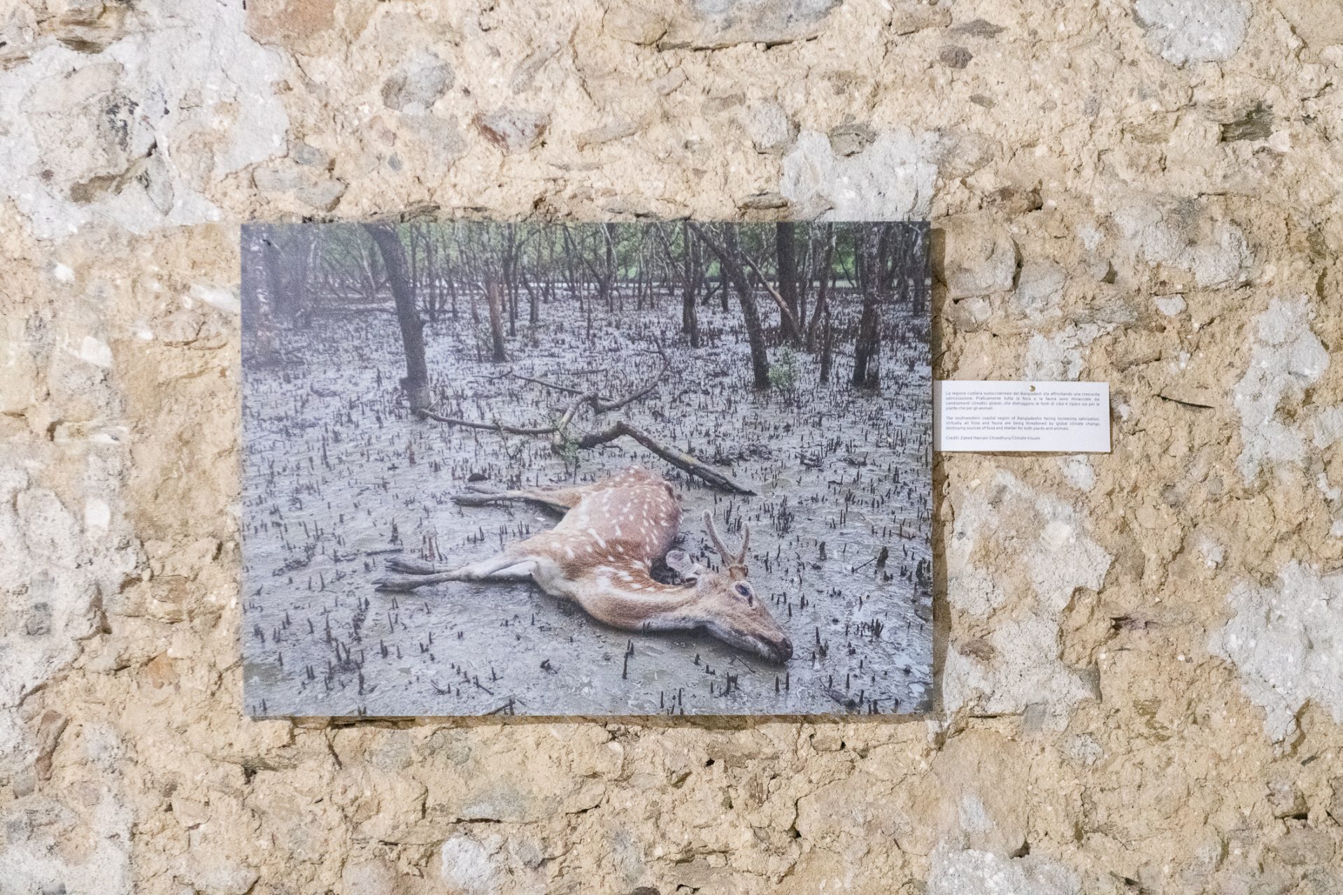 Calabria fotografia festival