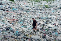 Ecomafia, nel 2021 oltre 30mila reati e un giro d’affari da 8,8 miliardi