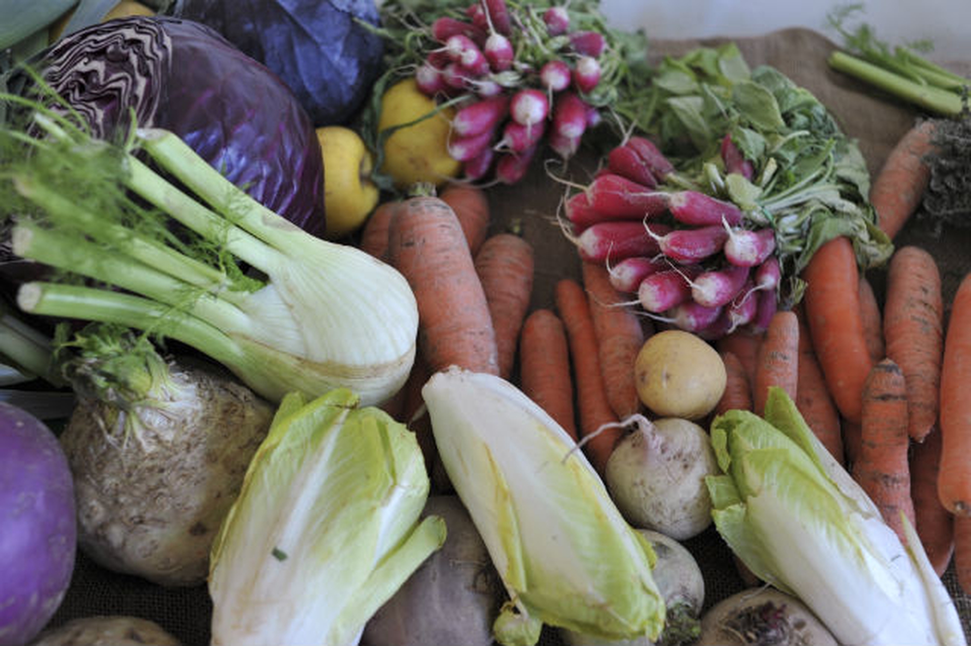 Slow Food for Africa. 10.000 orti per coltivare il futuro